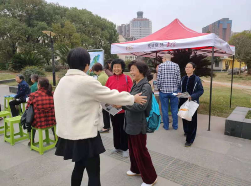 SEO优化培训机构的选择：哪些才是你的最佳拍档？