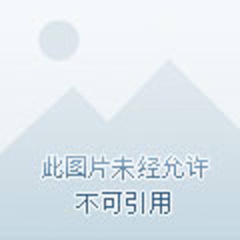 SEO优化培训：如何打造你的数字营销超级英雄