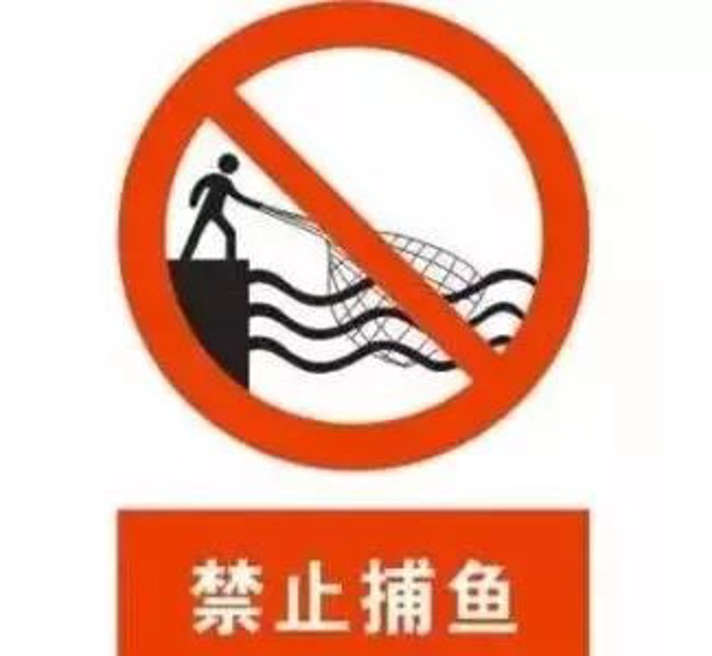 SEO优化培训：如何选择靠谱的机构